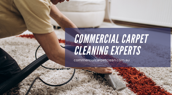 Things That Distinguish Professional Carpet Cleaners from Newcomers