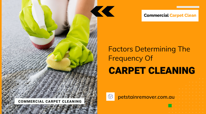 Factors Determining The Frequency Of Carpet Cleaning