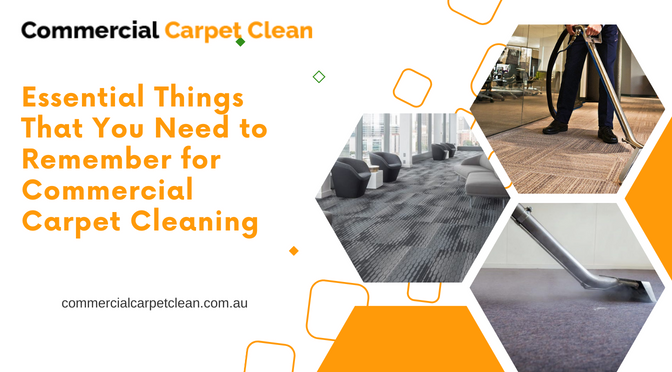 Expert Commercial Carpet Cleaner